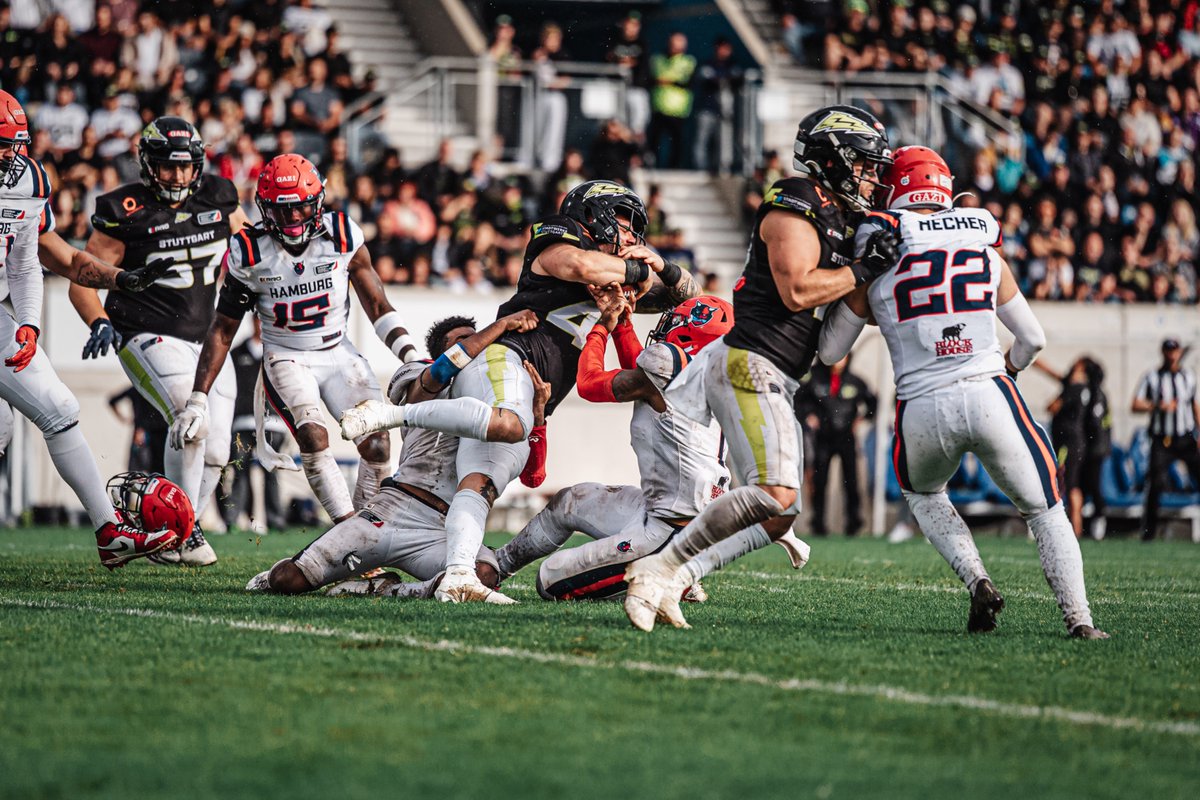 Hamburg Sea Devils tweet media