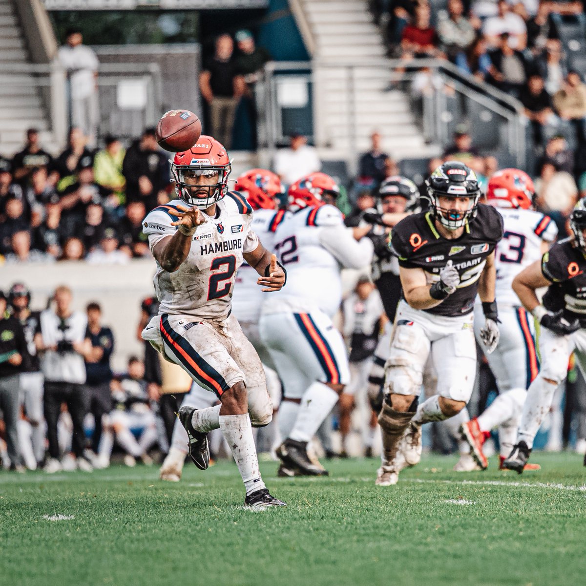 Hamburg Sea Devils tweet media