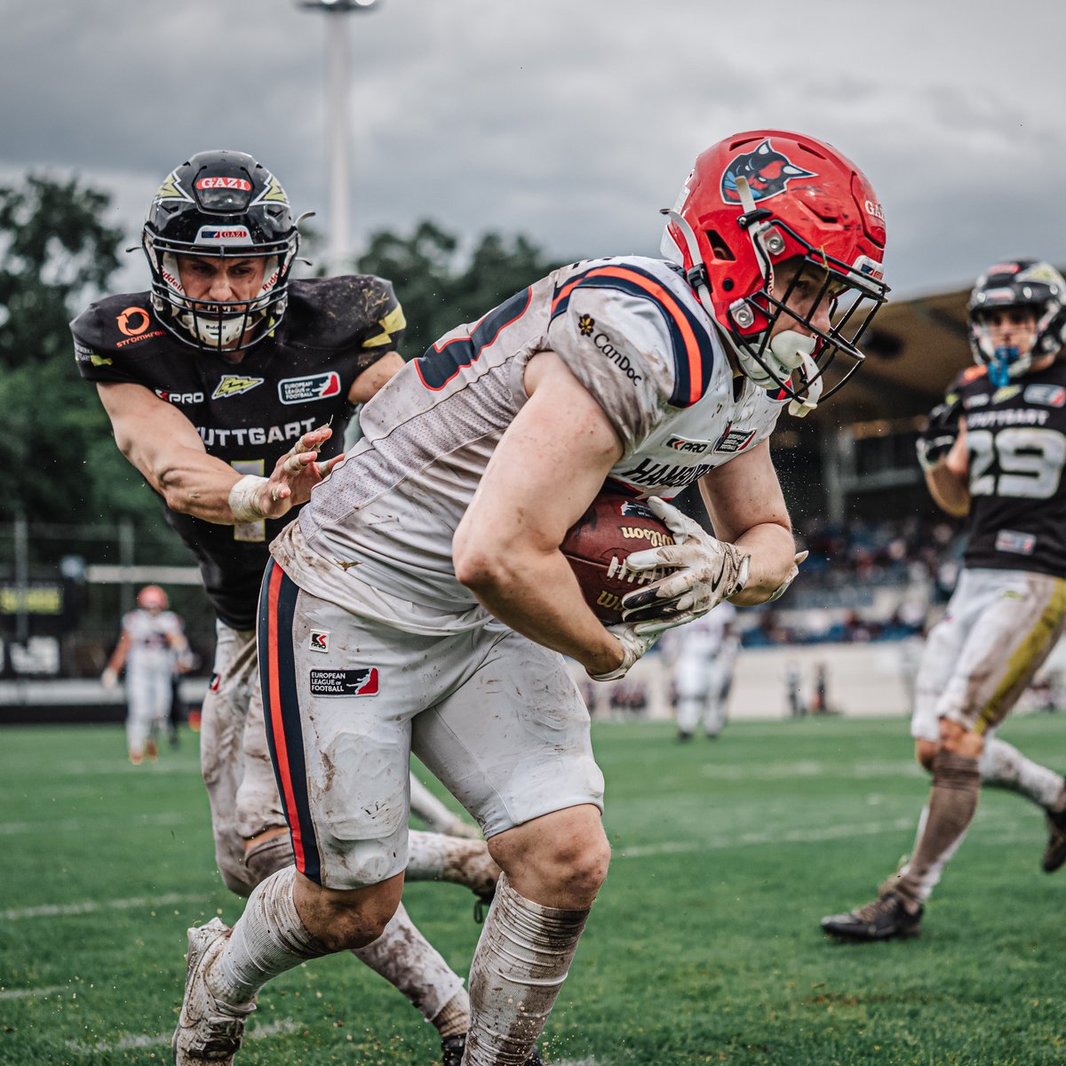 Hamburg Sea Devils tweet media