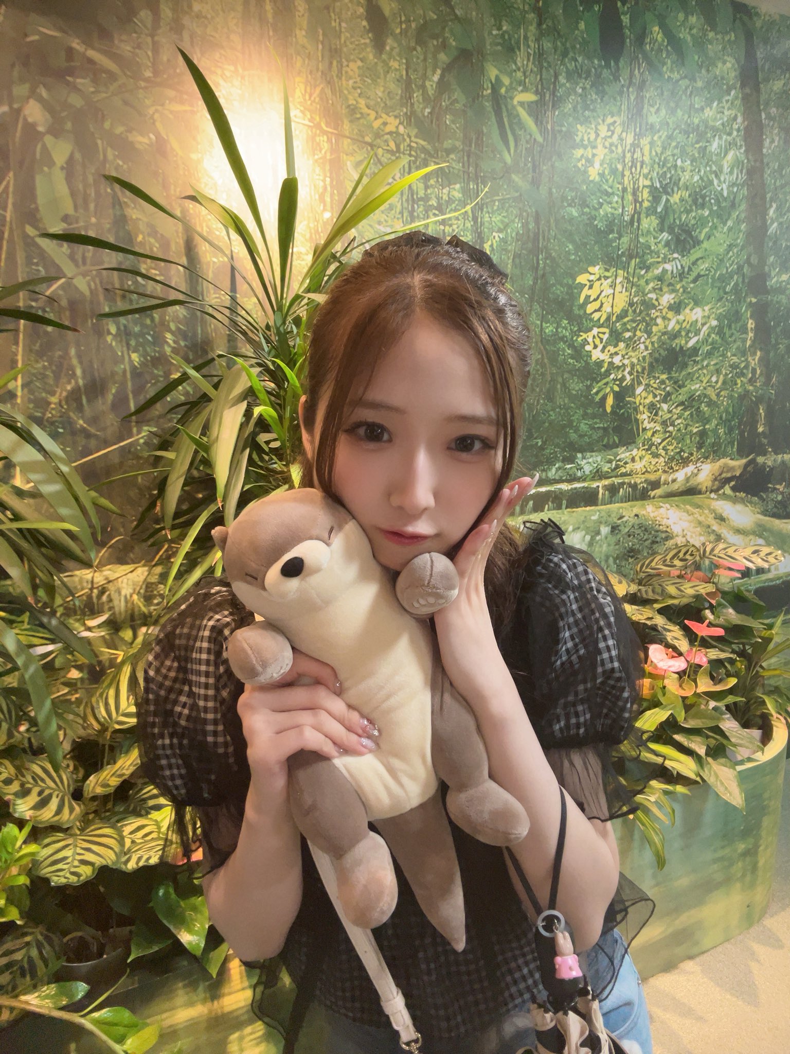 迫由芽実 (@yumemi_sako0205) / X