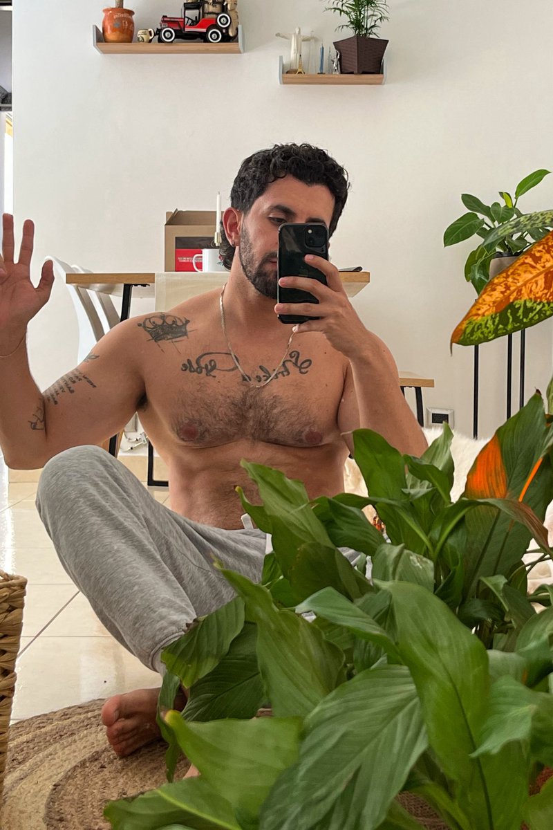 Listo, El Pollo tweet media