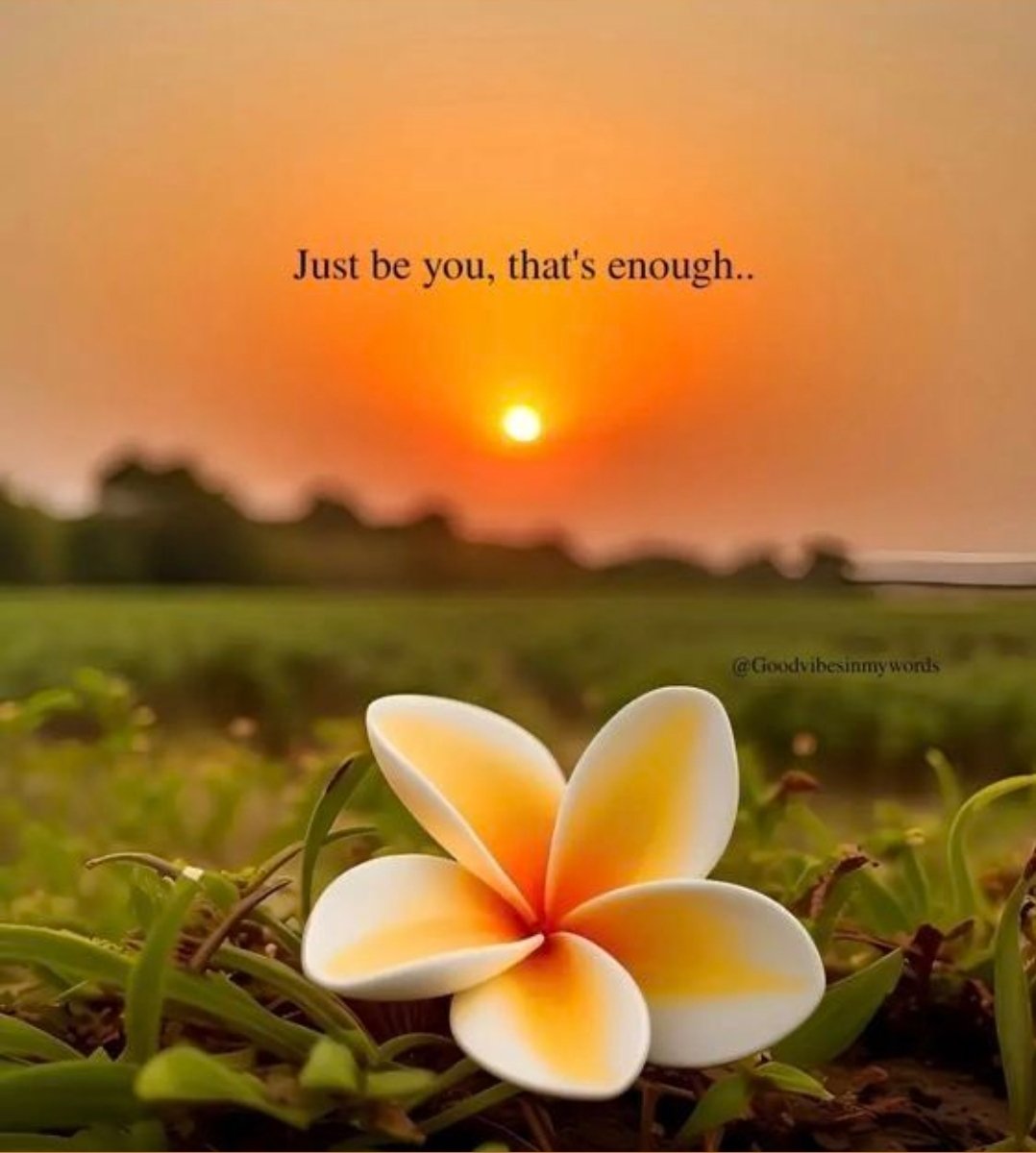 hllarrie28's tweet photo. You will always be enough 🩷😊
#StayPositiveAlways https://t.co/WHqO03kxBT