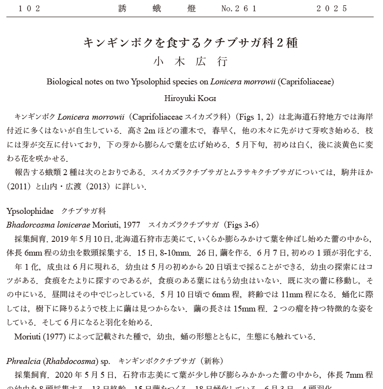 Eupithecia_moth's tweet image. 事務局です．誘蛾燈261号を発送してきました．表紙はフユシャクです．今号はマクロの報文が多い気がしますが，ミクロではキンギンボクから幼虫がみつかったというクチブサガの記録などが載っています．会員には水曜頃からお手元に届くかと思います．今年はあと1号を発行します．報文もご投稿ください．