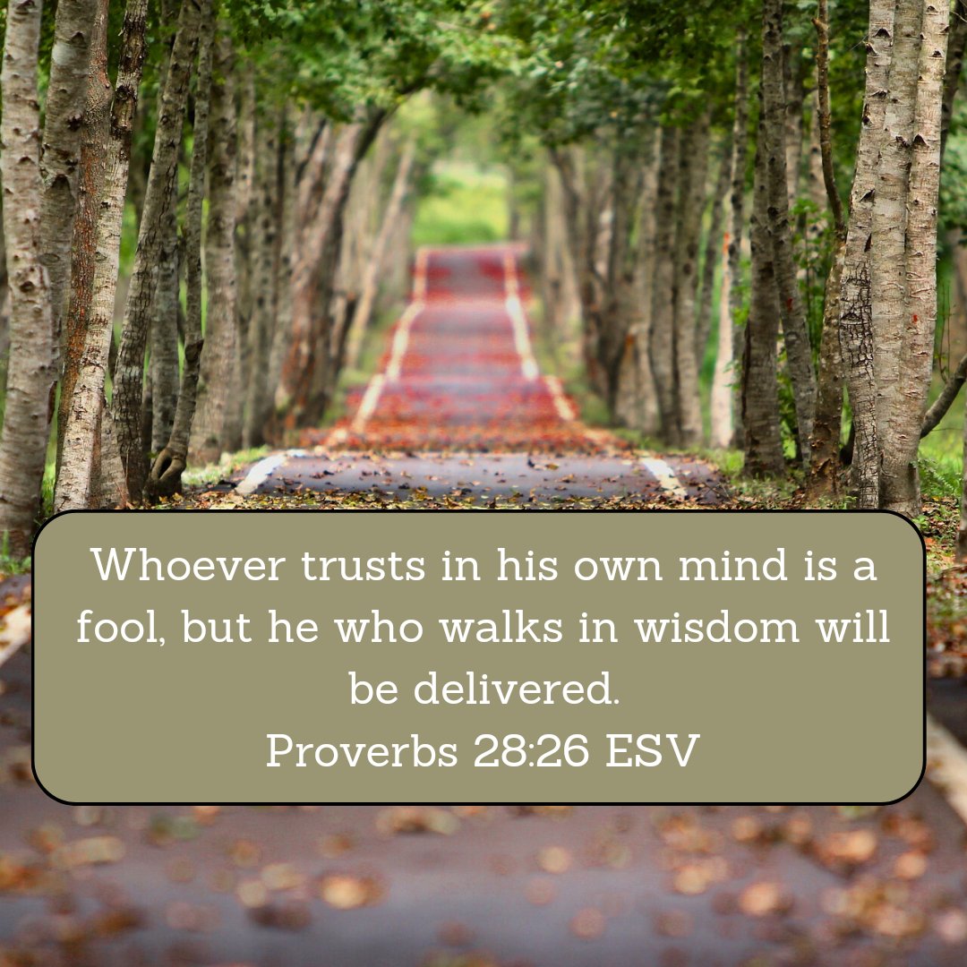 WmHillJr's tweet image. Daily Proverb (7.28.2025) 📖 
#dailyproverb #proverbs #wisdom #bible