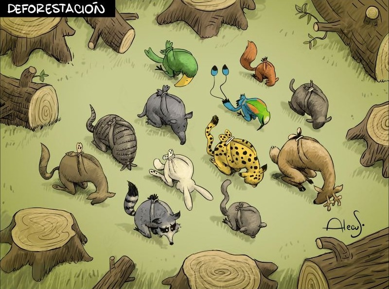 Gilberto Melendez (@queto1968) on Twitter photo 