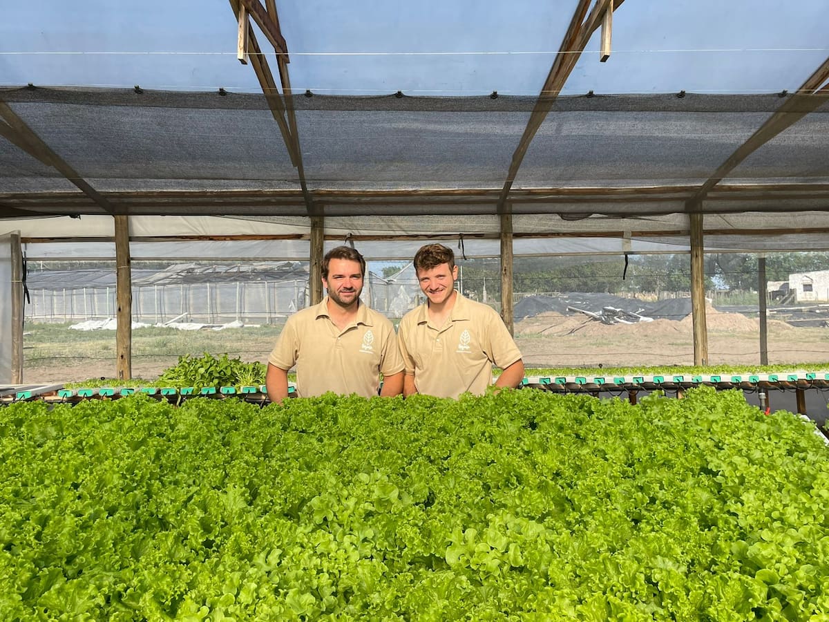 LNcampo's tweet image. “Hicimos la inversión y arrancamos”: son compañeros de trabajo, producen sin tierra lechuga y rúcula y sumaron un superalimento dlvr.it/TM8lTf