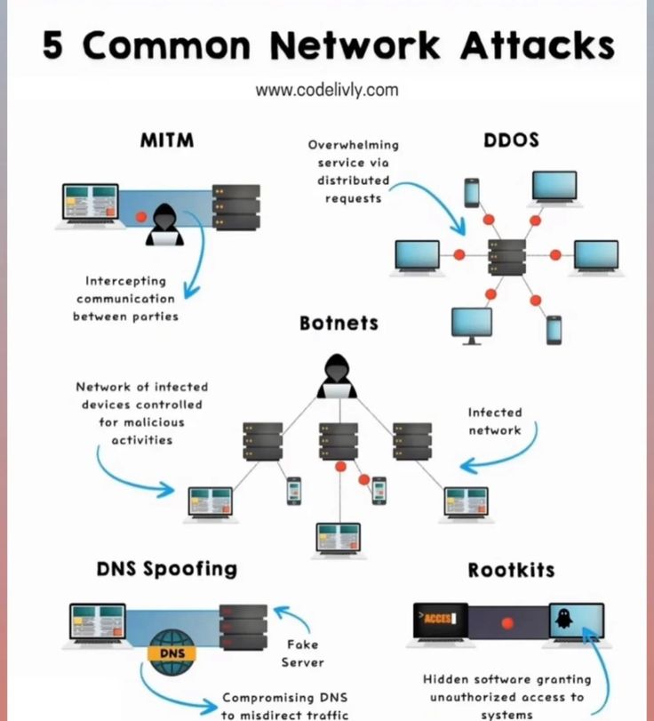 stilla1ex's tweet image. Common network attacks
