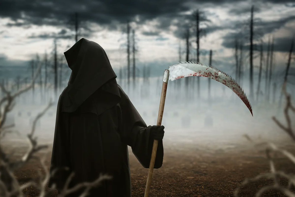 Cleve Hicks (@cleve_hicks) on Twitter photo Escaping the Global Industrial Death Cult, by <a href="/McAffee/">Justin McAffee 🌳🌵🐢 🏴</a> open.substack.com/pub/collapsecu… Escaping the Global Industrial Death Cult, by <a href="/McAffee/">Justin McAffee 🌳🌵🐢 🏴</a> open.substack.com/pub/collapsecu…