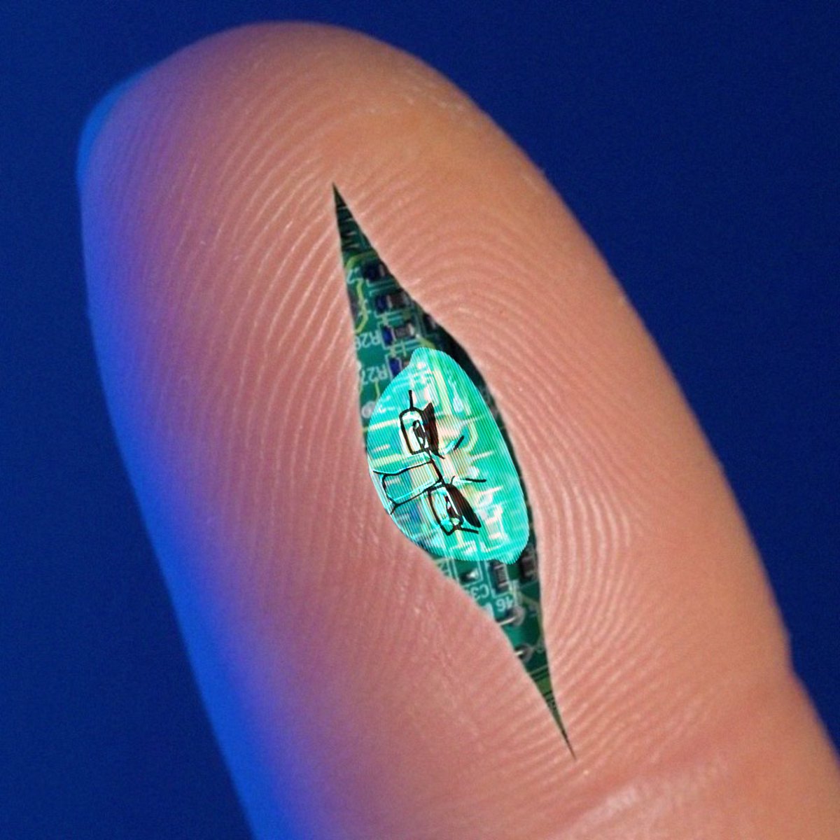 FUCK IT WE BOL ⚠️ (@fuckitwebol) on Twitter photo 