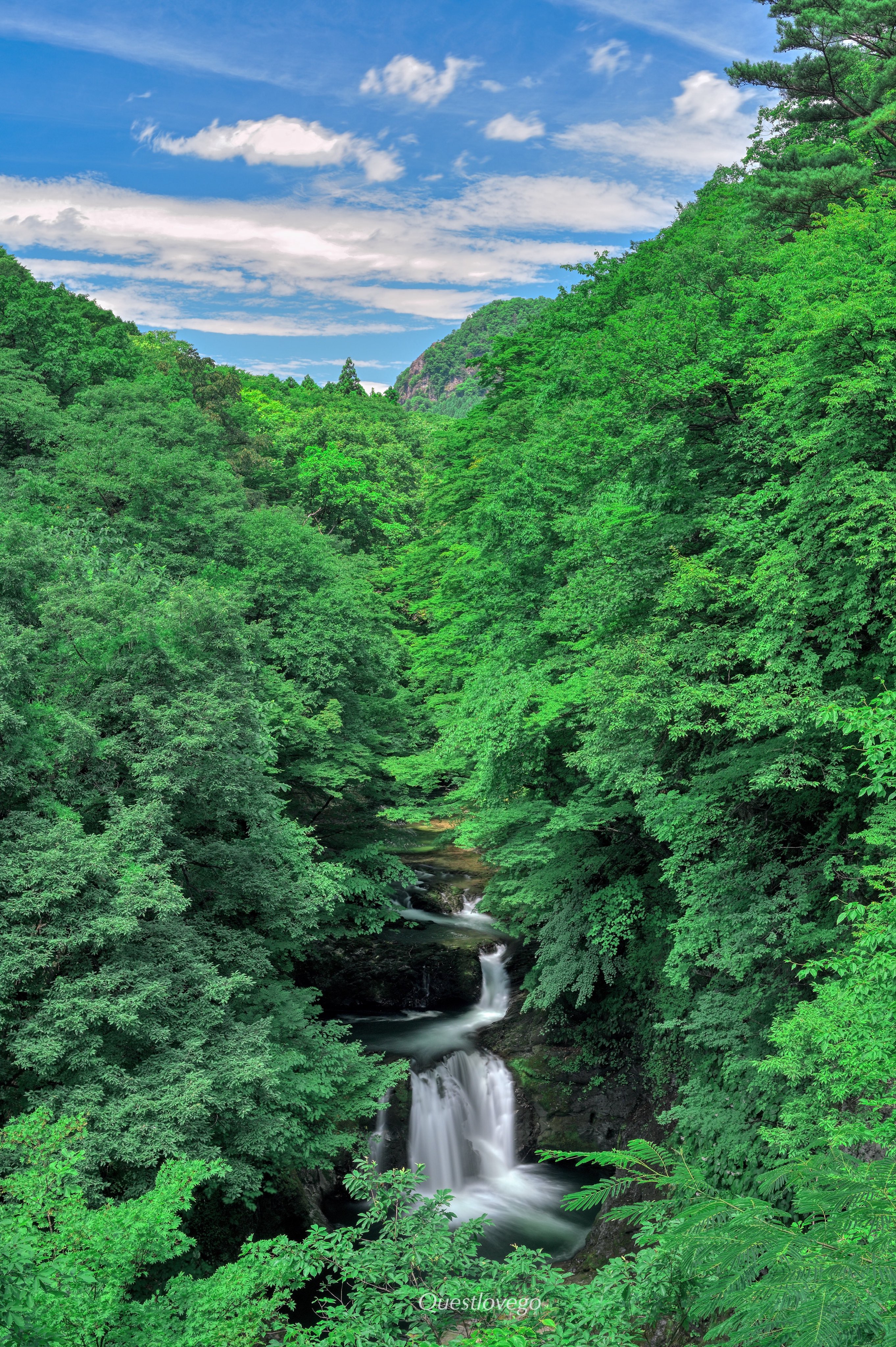 紀州の滝340 紀州の滝340 Amazon.co.jp: 紀州の滝340 : 小板橋 淳: 本