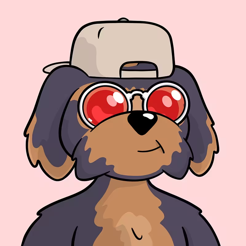 shockermandan's tweet image. Bought my first NFT on Solana. 

Is @BoDoggosENT the right one?