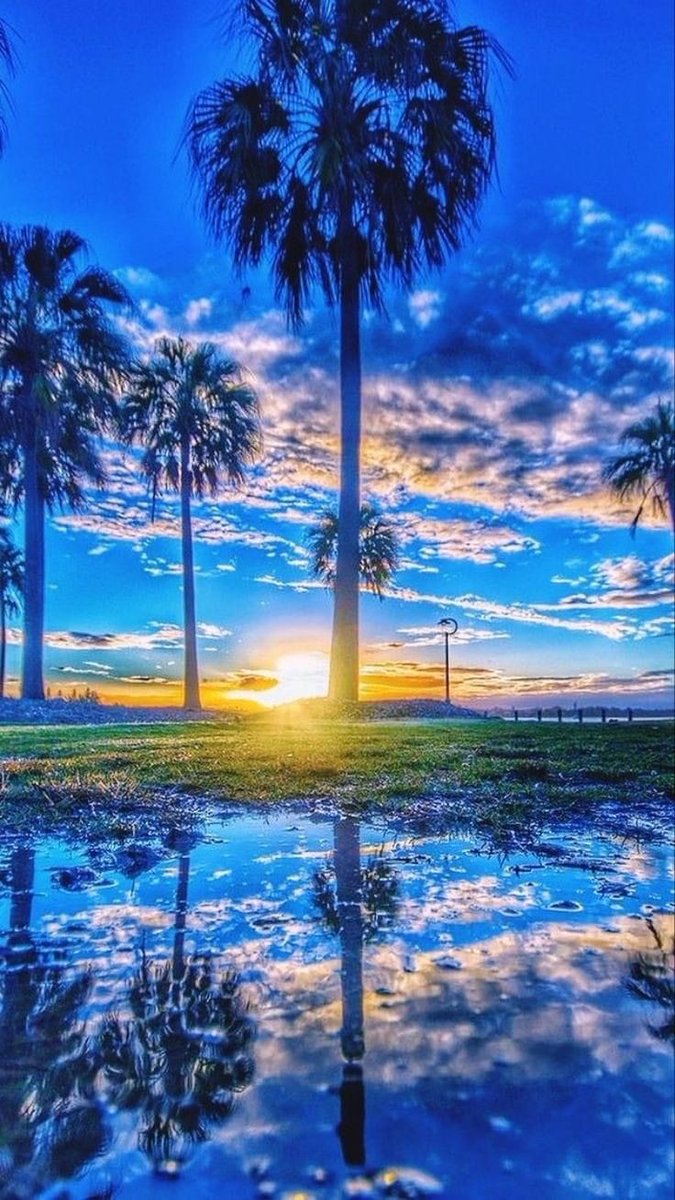 DrRani778897's tweet image. 