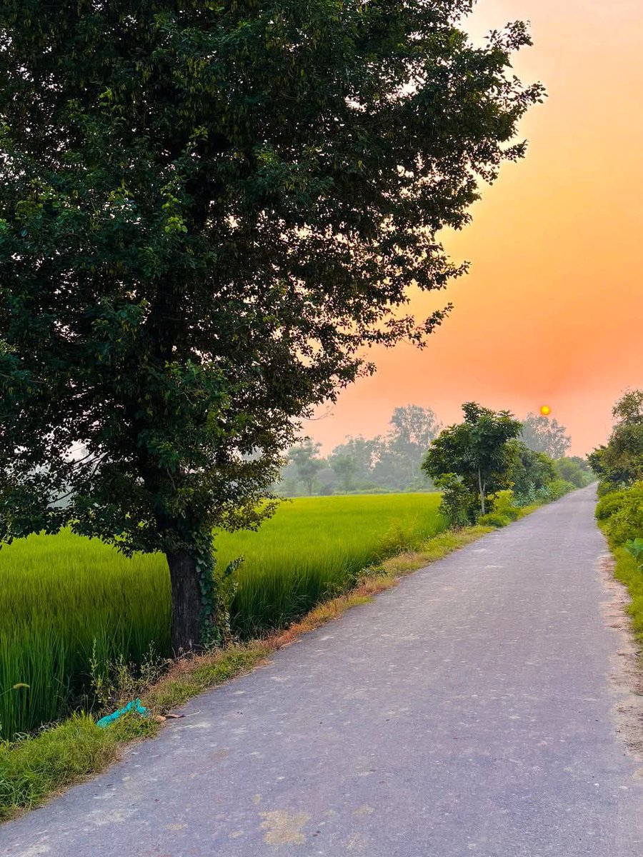 इंसानियत का कद 
हमैशा  हैसियत से बड़ा होता है ... 
       शुभ संध्या 🙏