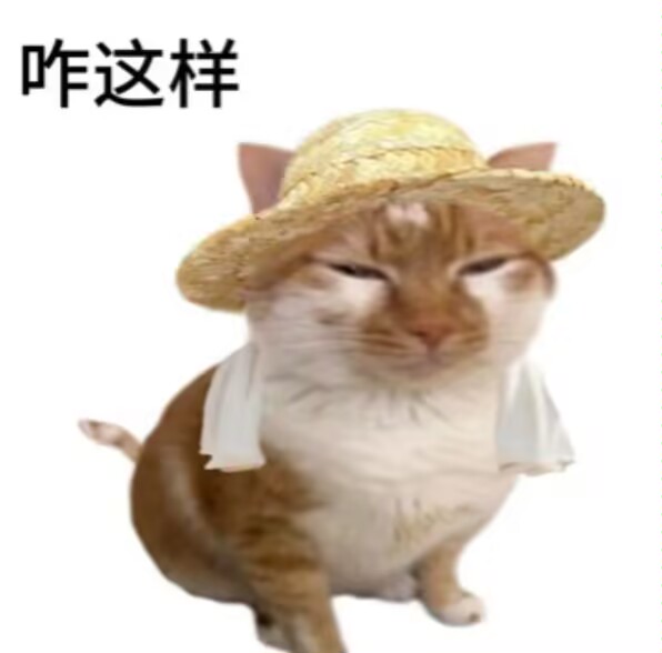 meowmeowmm3's tweet image. 唯一后悔的事是把旧画删光之后没忍住又画了一堆丑的之后就跑路了