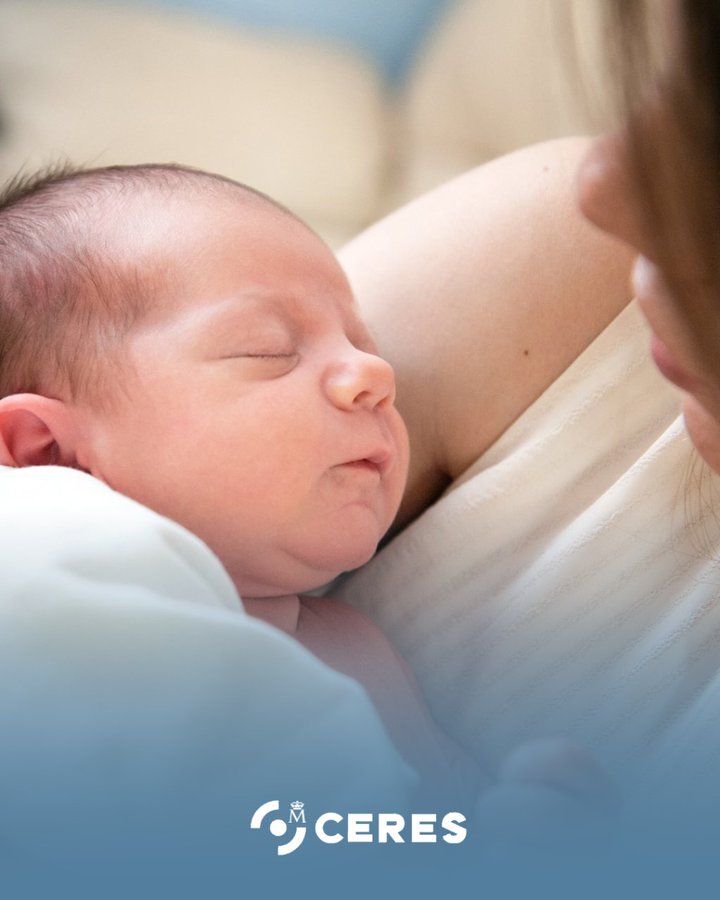 ¿Has tenido un hijo/a recientemente? 🍼

Puedes solicitar tu prestación por nacimiento y cuidado de menor con tu #CertificadoDigital de
<a href="/CERESfnmt/">CERES</a>
✅

¡Hazlo desde aquí! 👇
tramites.seg-social.es/tramites/prest…
