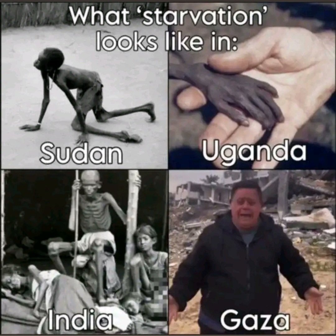 Dr. Eli David tweet media