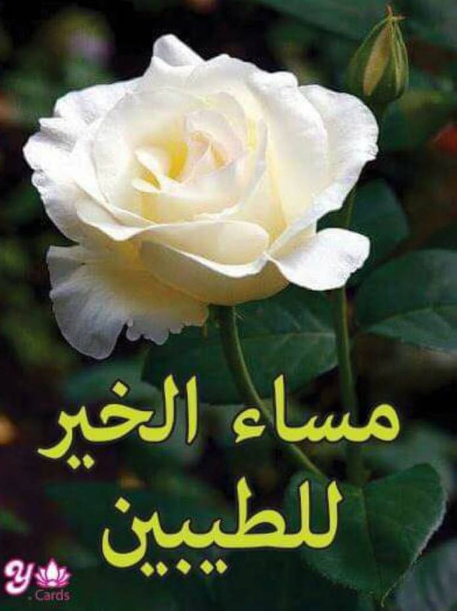 كن نبيلا ً حتى في المواقف التي لا يراها أحد ، ولا يعلم عنها الناس . النبل الحقيقي أن تفعل الأشياء الجيدة دون أن يعلم عنها أحد"