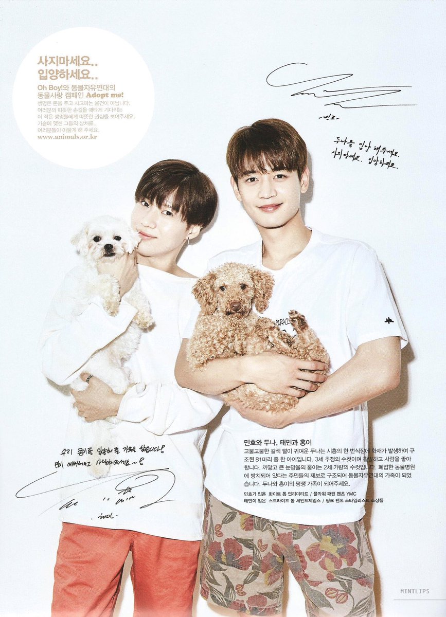 nyaaang_6v6's tweet image. 이게 진짜 유기견 입양홍보캠페인하는 스타부부 같음