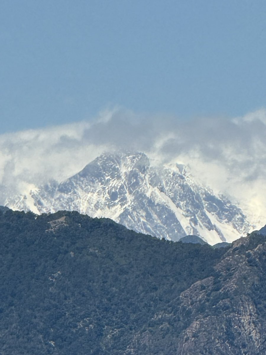 Ruben Kin tweet media