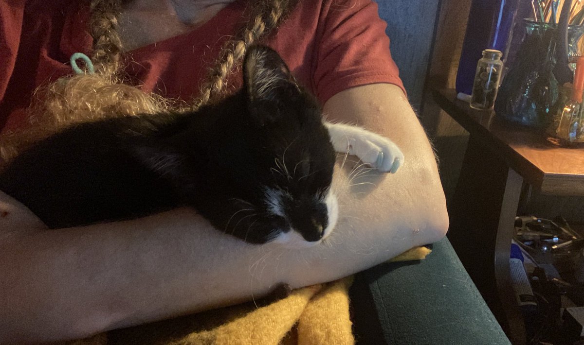 WhiteCatSith's tweet image. Scooty, always helping 🤭🤍