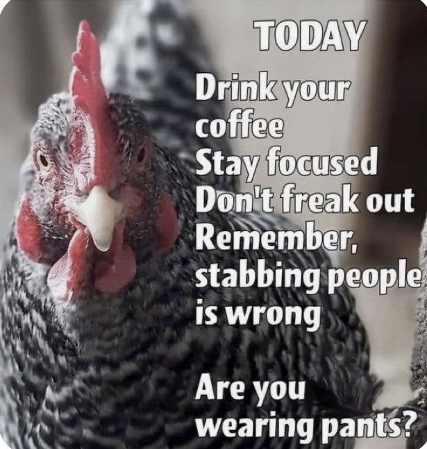 Good Morning my friends.. I know, I know it’s Monday. Sooo… I thought this might be appropriate, 👀… or not.. no judgement. 😳Annnd.. we are breathing… OK! 😁 Coffee up. ☕️☕️ 
Have a great day! 😉❤️🌷🌺🌹