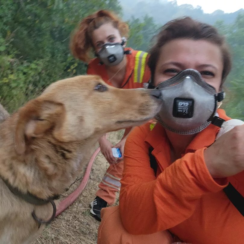 Bursa'da alevlerin arasından kurtarılan köpek, kahramanlarını öptü.