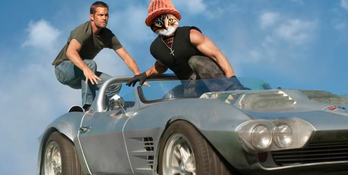 CWIFcats's tweet image. Feline fast and furious $cwif @catwifhatsolana