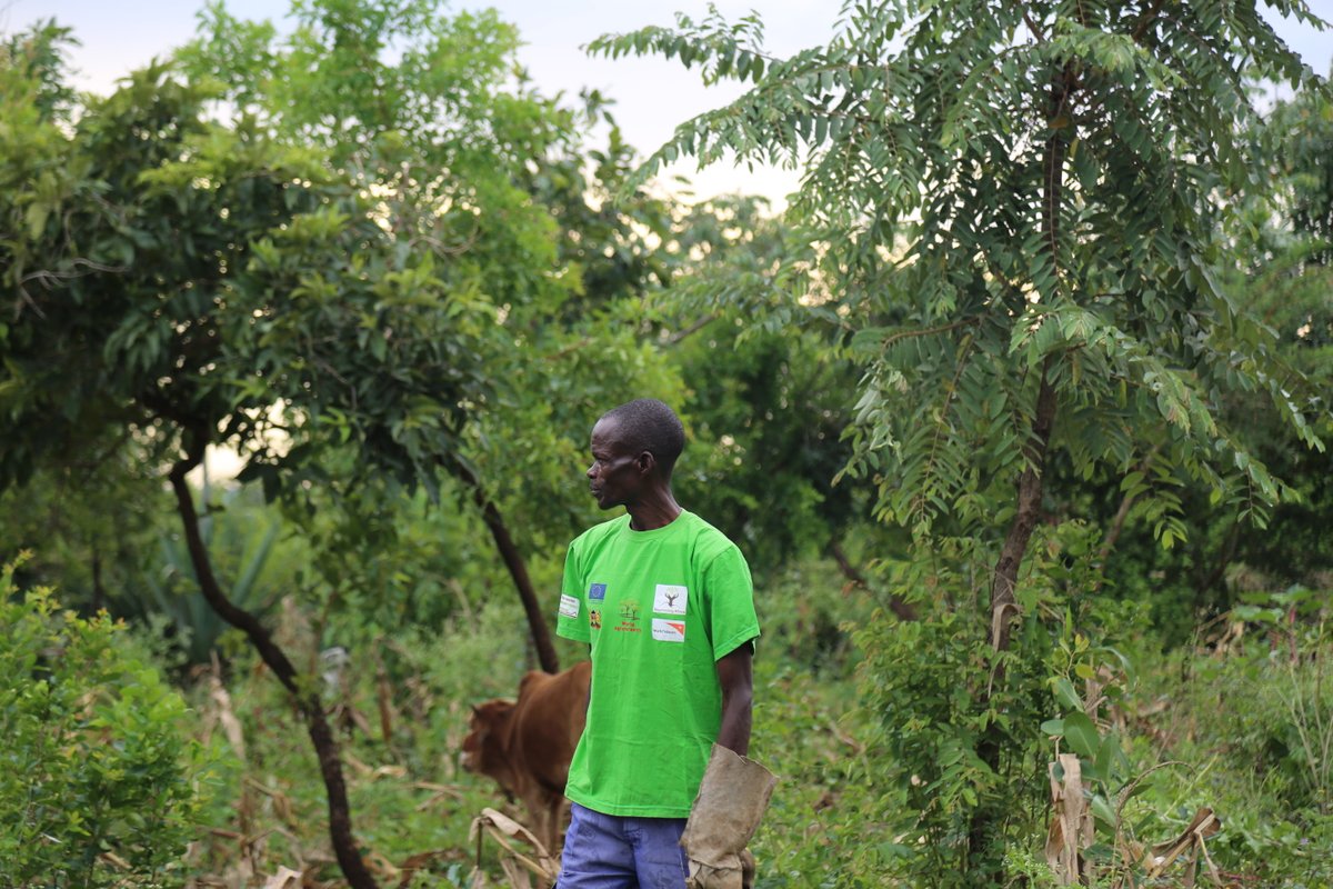 Across Africa’s drylands, communities are restoring land and hope.🌱

In this article, our EU Partnerships Specialist Lisa Nowag shares insights on Regreening Africa, a major EU-funded initiative where <a href="/WorldVision/">World Vision</a> is one of the implementing partners.

wvi.org/stories/world-…
