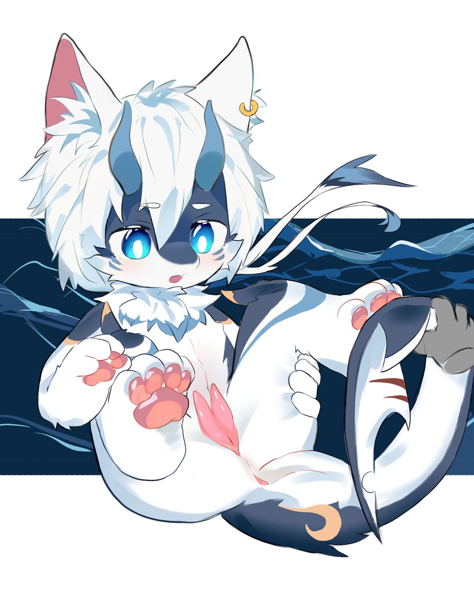 上幼鹅园的小鲨鱼