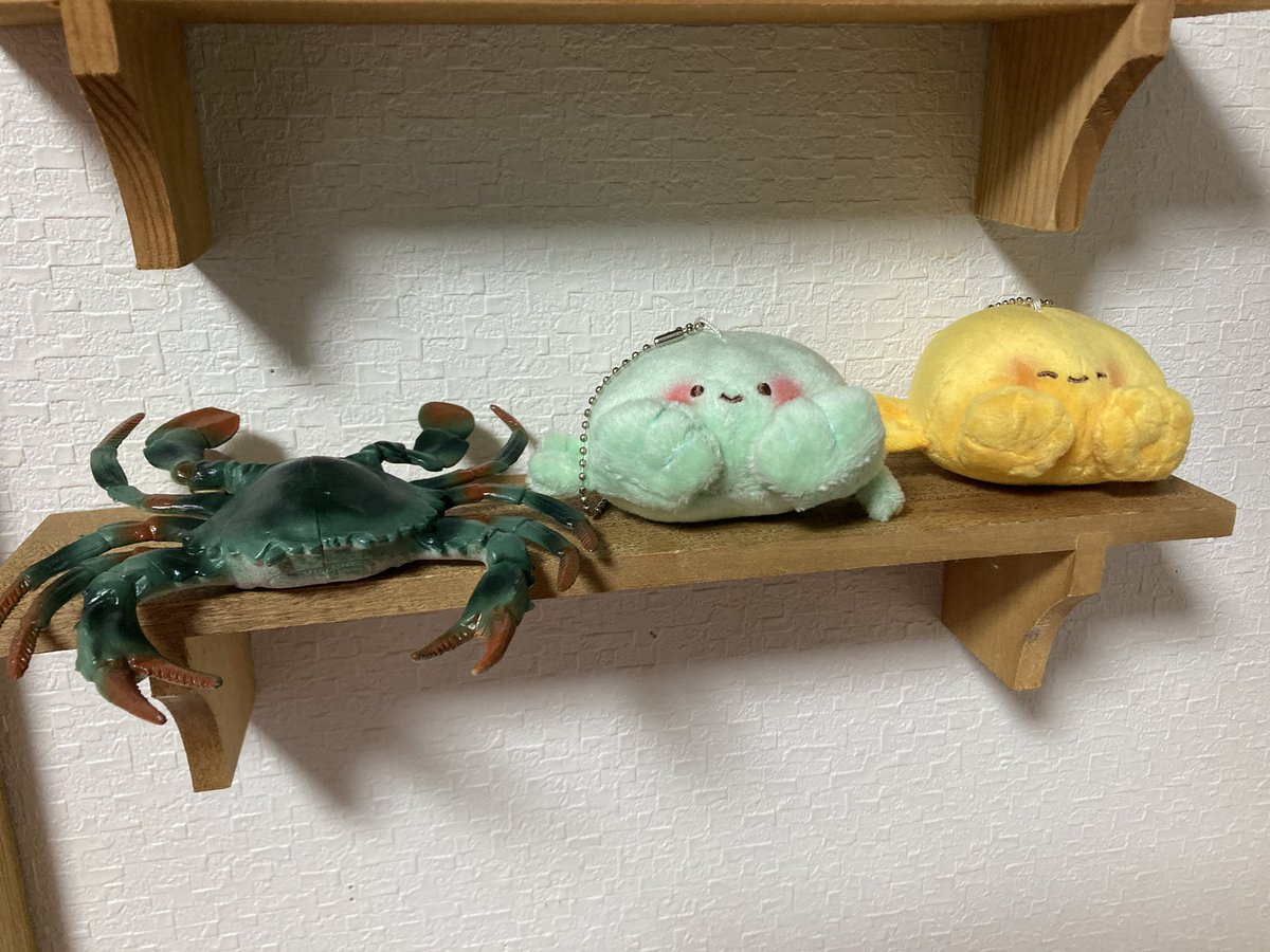 chabo1016's tweet image. カラッパちゃん増殖してて草