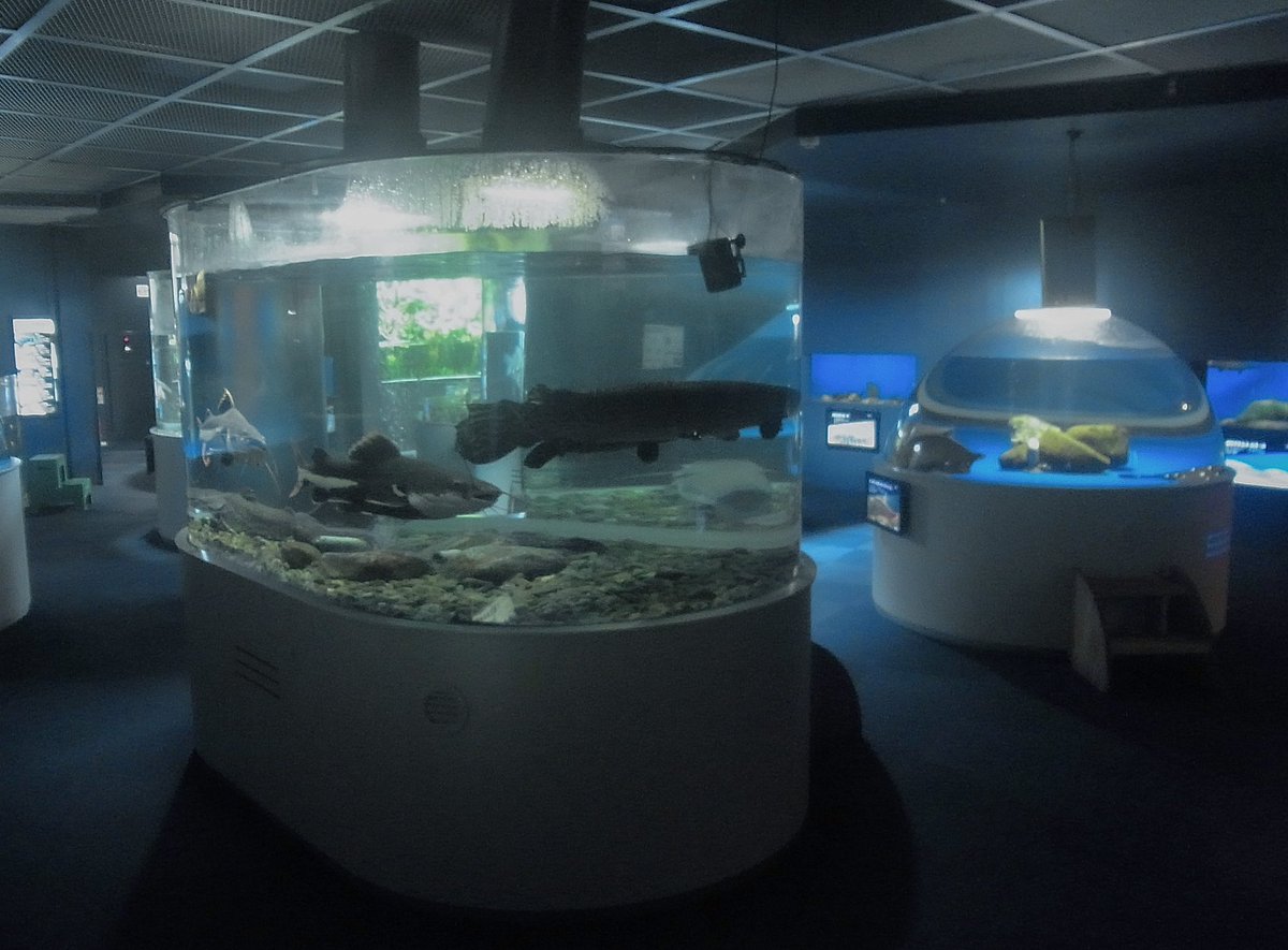 #6 (@nnuf22) on Twitter photo 