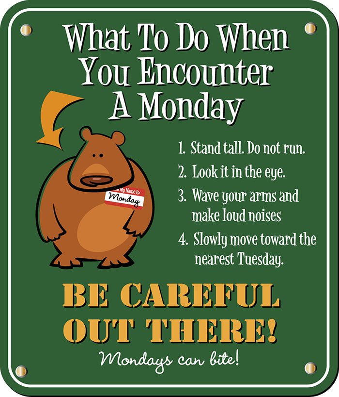 Good Morning ☀️ Happy Monday!