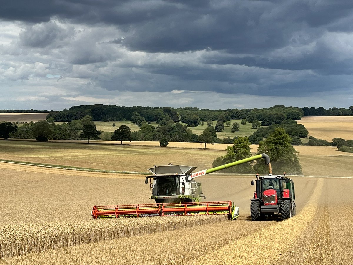 Paul Barnes (@farmerbarney) on Twitter photo Officially now part of the July harvesting of Winter Wheat club 🌾 💪🏻 #harvest2025 <a href="/chandlersfe/">Chandlers (FE) Ltd</a> <a href="/CLAAS_Eastern/">CLAAS Eastern</a> <a href="/LincsWoldsNL/">Lincs Wolds National Landscape</a> Officially now part of the July harvesting of Winter Wheat club 🌾 💪🏻 #harvest2025 <a href="/chandlersfe/">Chandlers (FE) Ltd</a> <a href="/CLAAS_Eastern/">CLAAS Eastern</a> <a href="/LincsWoldsNL/">Lincs Wolds National Landscape</a>