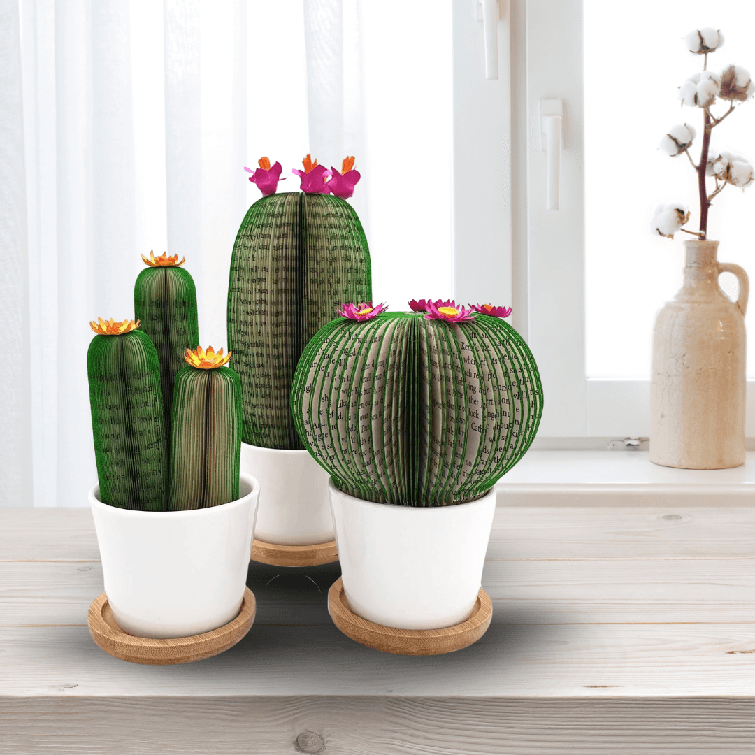 Paperappleco's tweet image. Cactus Book Gift creatoncrafts.com/products/cactu… #mhhsbd #Shopify #CreatonCrafts #MyNewTag #BookLoverGift