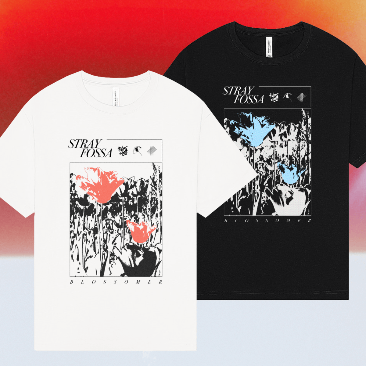 Stray Fossa tweet media