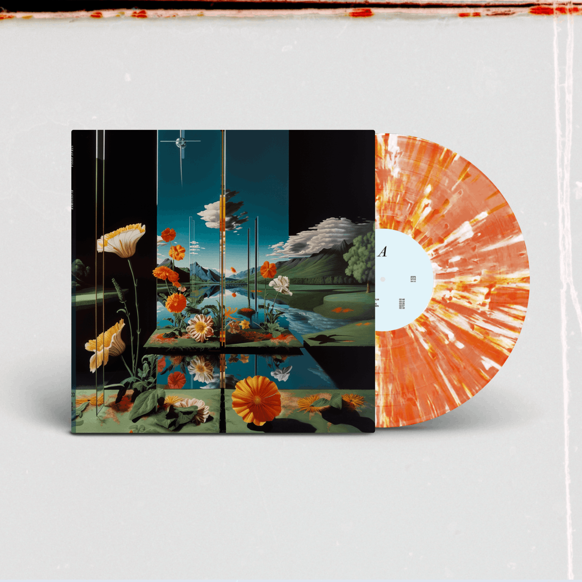 Stray Fossa tweet media