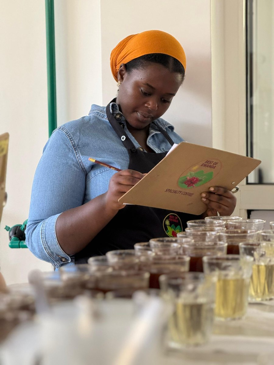 RwandAgriExport's tweet image. ☕The National Jury for the Best of Rwanda 2025 is underway!
Cuppers are evaluating the finest coffee lots submitted from across #Rwanda ; to ensure that the highest quality coffees move to the International Jury.
Stay tuned as we unveil Rwanda’s best coffees of the year.