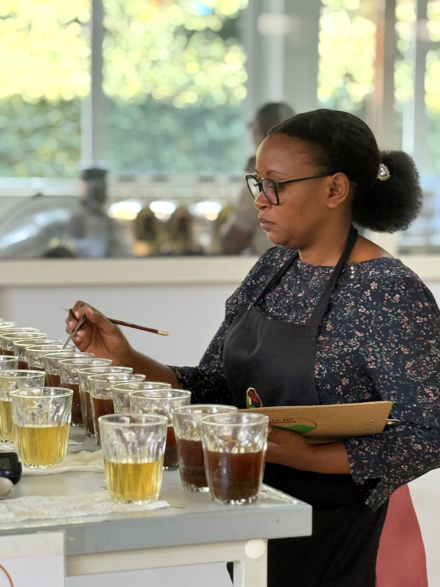 RwandAgriExport's tweet image. ☕The National Jury for the Best of Rwanda 2025 is underway!
Cuppers are evaluating the finest coffee lots submitted from across #Rwanda ; to ensure that the highest quality coffees move to the International Jury.
Stay tuned as we unveil Rwanda’s best coffees of the year.