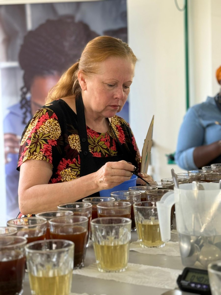 RwandAgriExport's tweet image. ☕The National Jury for the Best of Rwanda 2025 is underway!
Cuppers are evaluating the finest coffee lots submitted from across #Rwanda ; to ensure that the highest quality coffees move to the International Jury.
Stay tuned as we unveil Rwanda’s best coffees of the year.