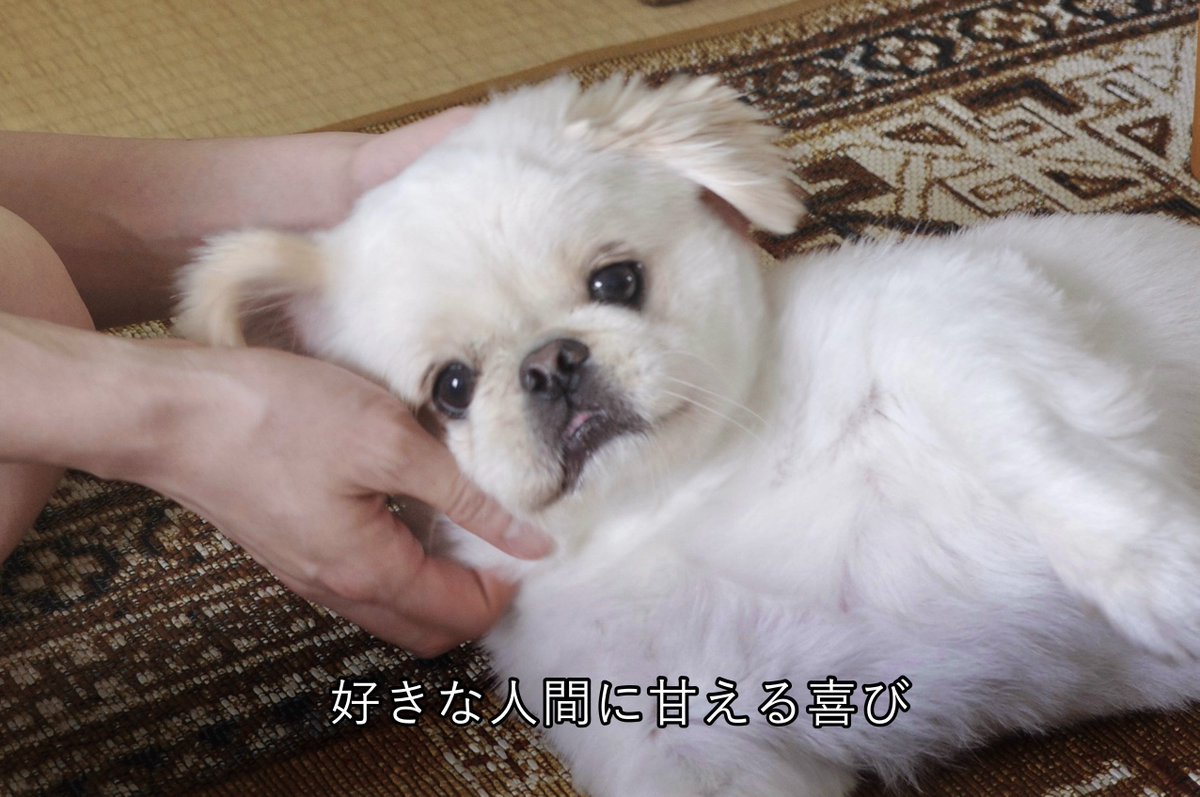 𝐿𝑂𝑉𝐸𝑌𝑂𝑈 (@the_mucho_world) on Twitter photo 