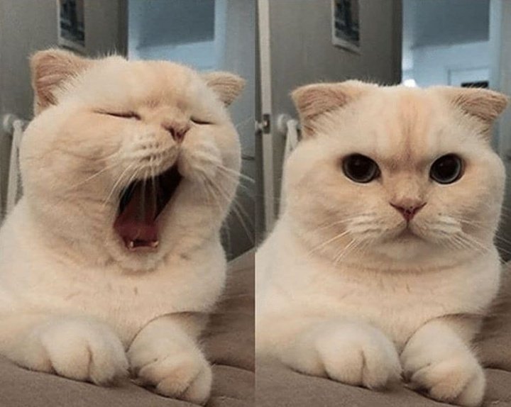 Me all day               Me At Night