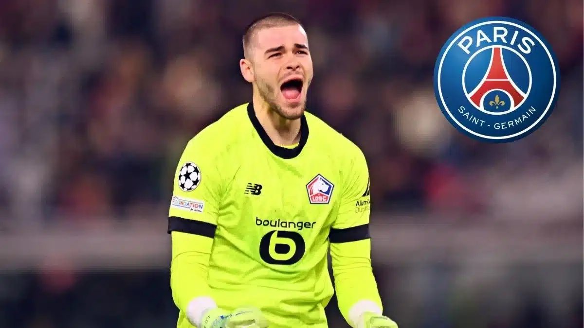 Media Parisien (@mediaparisien) on Twitter photo 🚨 Lucas Chevalier est attendu pour sa visite médicale en fin de semaine ! 🏥
Le montant total de l’opération devrait atteindre 50M€ bonus inclus. 💰🔴🔵
<a href="/sachatavolieri/">Sacha Tavolieri</a> 🚨 Lucas Chevalier est attendu pour sa visite médicale en fin de semaine ! 🏥
Le montant total de l’opération devrait atteindre 50M€ bonus inclus. 💰🔴🔵
<a href="/sachatavolieri/">Sacha Tavolieri</a>