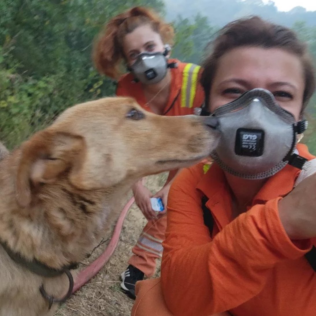 gusholderhaber's tweet photo. Bursa'da alevlerin arasından kurtarılan köpek, kahramanlarını öptü. https://t.co/tpviiMxdIe