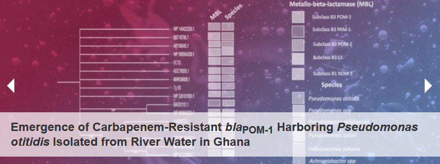 antibioticsmdpi's tweet image. 💌 New #TitleStory announced!: Emergence of Carbapenem-Resistant blaPOM-1 Harboring Pseudomonas otitidis Isolated from River Water in Ghana
✒️ by Frederick Ofosu Appiah et al.
😍 Visit our homepage to read!
🔗 mdpi.com/journal/antibi…