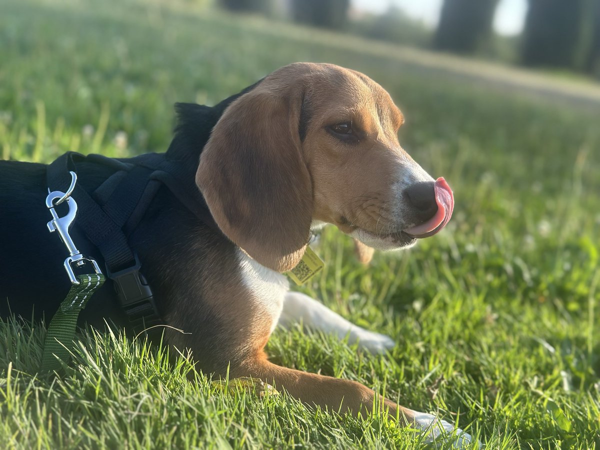 Yuizei's tweet image. Koji ❤️