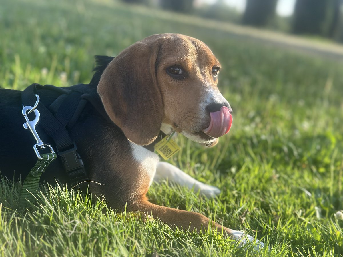 Yuizei's tweet image. Koji ❤️