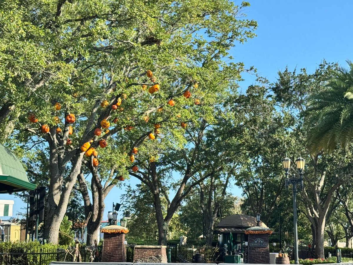 insideuniversal's tweet photo. The pumpkins have returned to Central Park! @UniversalORL #HHN34 https://t.co/oNpmEhuWVV