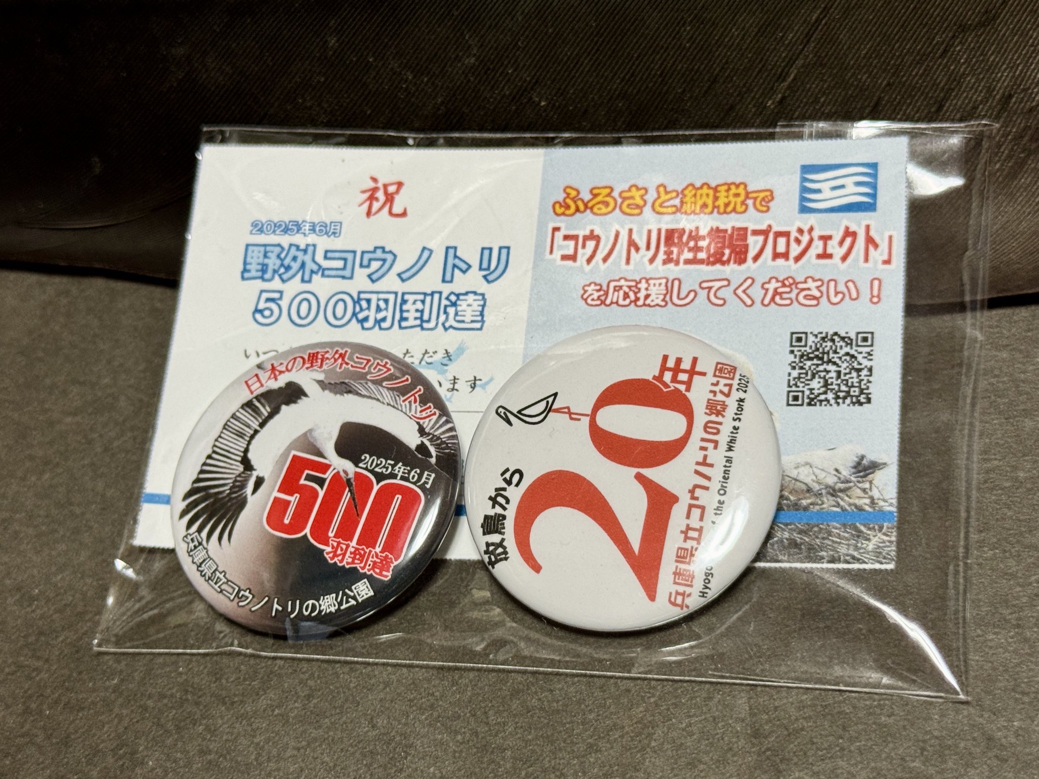 鳴門コウノトリ on X: 