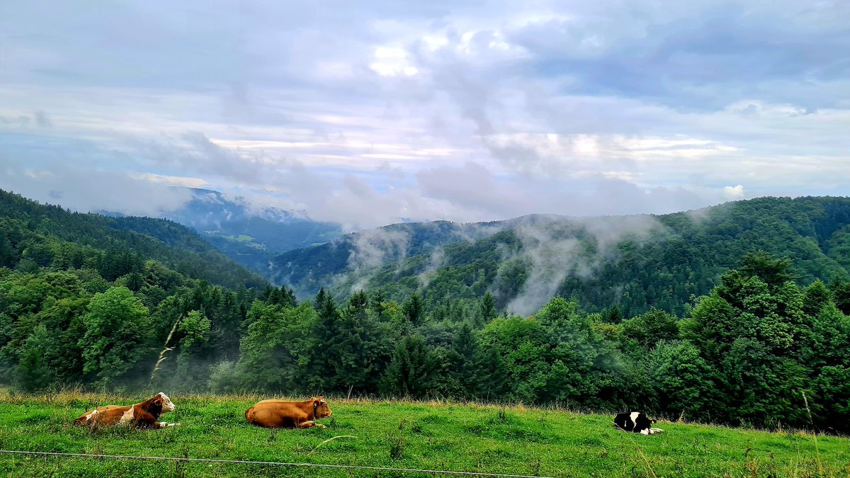 Slovenec_sem7's tweet image. Meni kar prija  tak julij po vročem juniju.