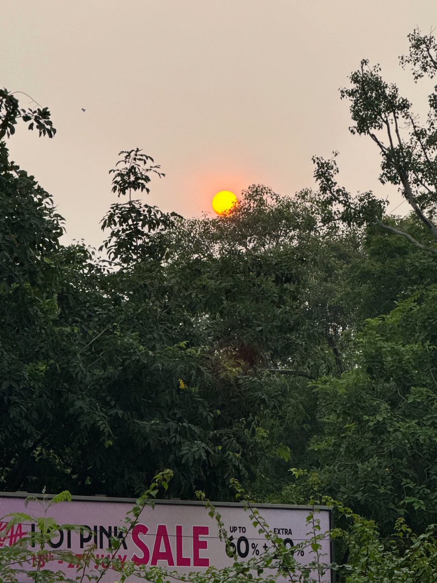 thedelhiwalla's tweet image. sunset on sale, see